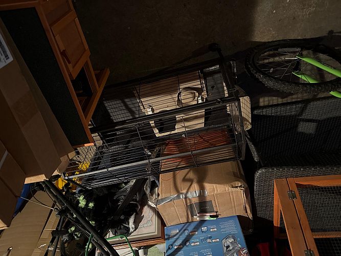 Yard Sale photo