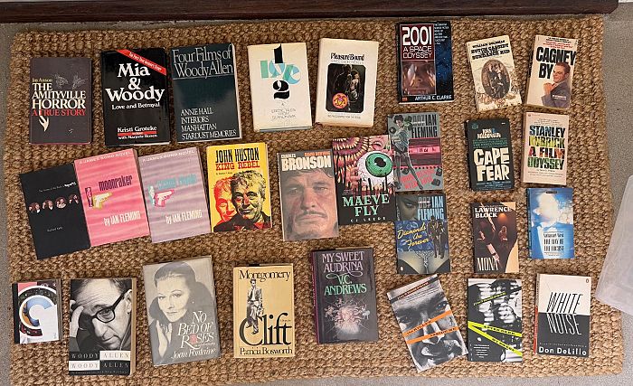 Valley Village Moving Sale - Art, Clothes, Movies, Books, Toys, Furniture photo