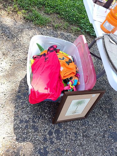 Large Yard Sale photo