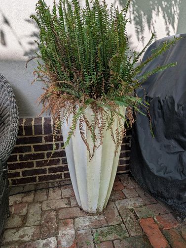 Kitchenware, Patio Furniture, Garden, Collectibles photo