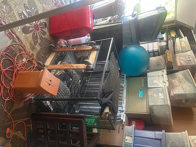 Moving out photo