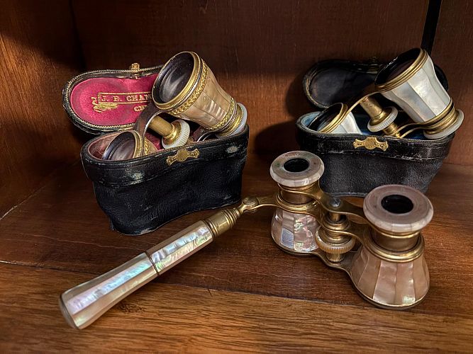 St. Joe Curated Curios and Collectibles photo