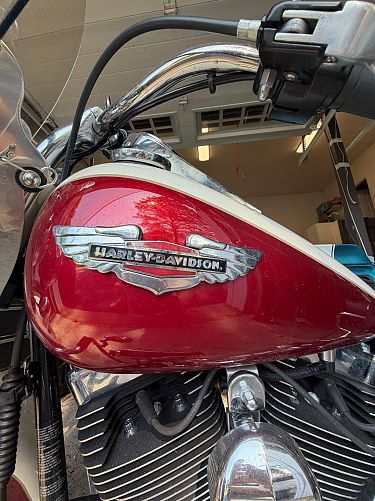 Wall Street Legend • Maverick Biker • A True Lust For Life photo