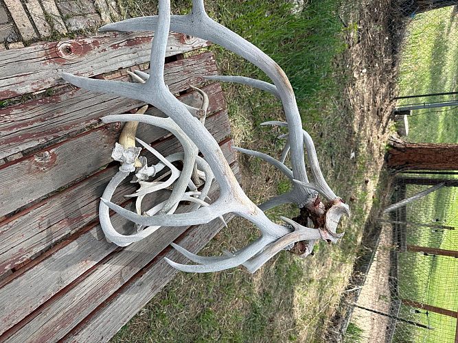 YARD SALE - INDIAN HILLS photo