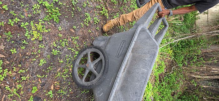 Moving sale in back yard photo