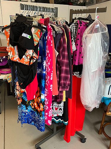 Multi-Family Sale - Part of Annual Lake LeAnn Garage Sales photo