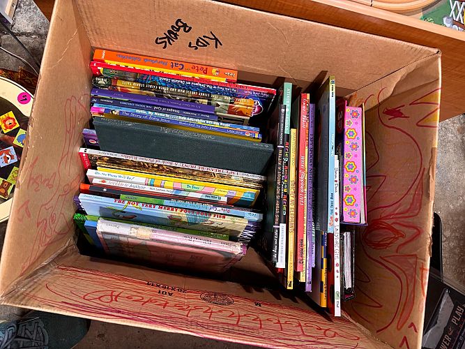 Tons of kid toys and books photo