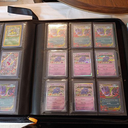 Gotta Catch Them All Pokemon photo