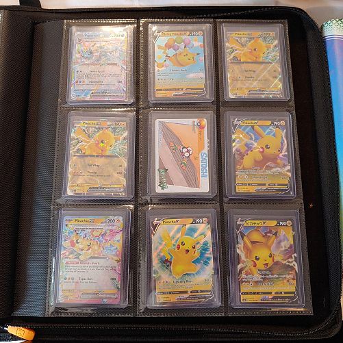 Gotta Catch Them All Pokemon photo