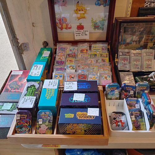 Gotta Catch Them All Pokemon photo