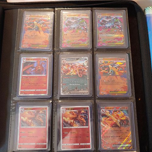 Gotta Catch Them All Pokemon photo