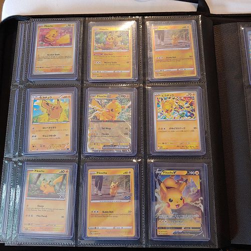 Gotta Catch Them All Pokemon photo