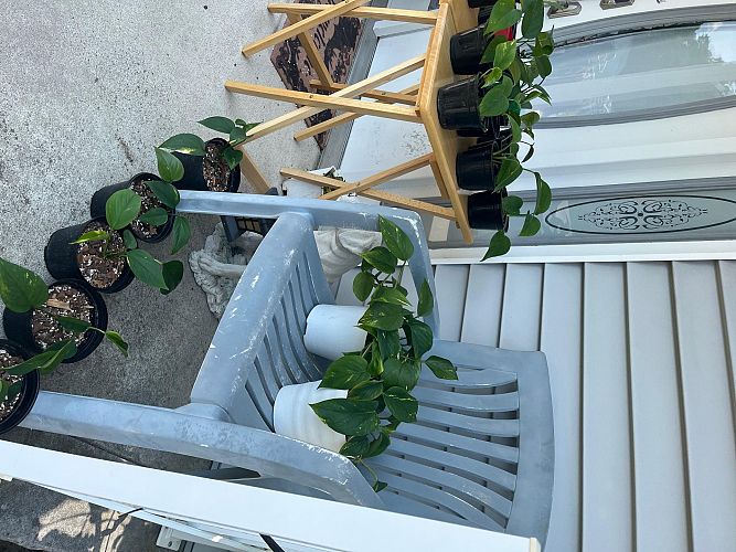 Estate-Yard sale photo