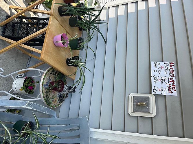 Estate-Yard sale photo
