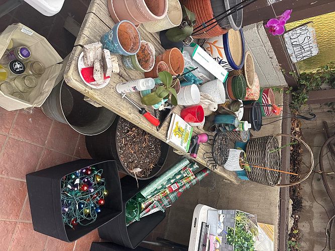 BackYard Sale photo