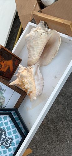 Garage sale photo