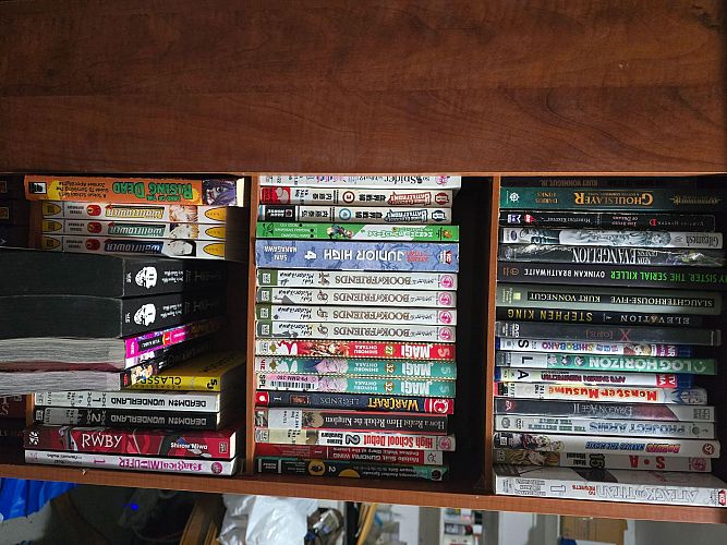 Library Nerd's Book Sale with Garage Sale stuff attached